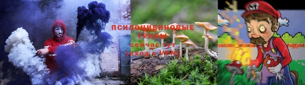 apvp Богданович