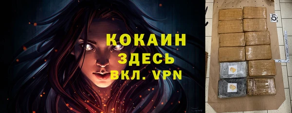 apvp Богданович