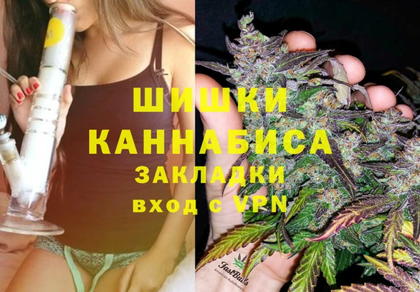 apvp Богданович