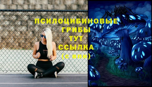apvp Богданович