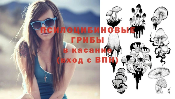 apvp Богданович