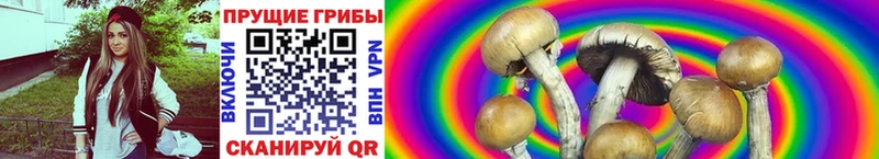 где продают наркотики  Миньяр  Псилоцибиновые грибы Magic Shrooms 
